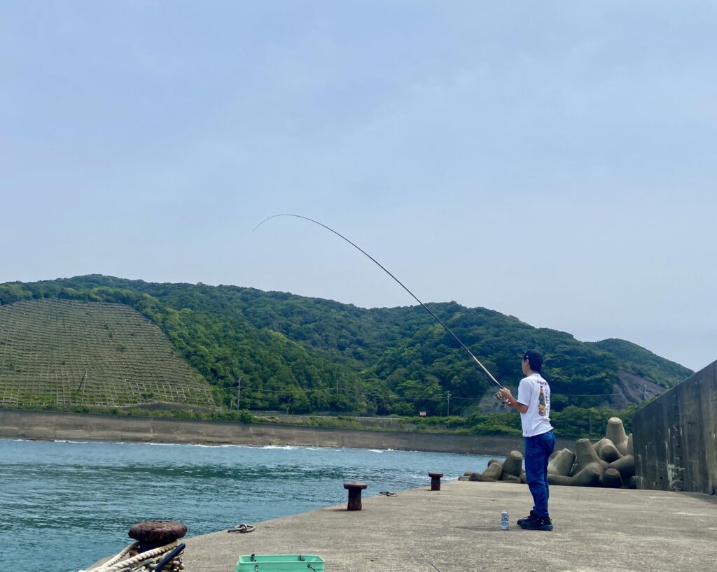 堤防からのマグロ釣りガイド|場所・タックルと規制を解説